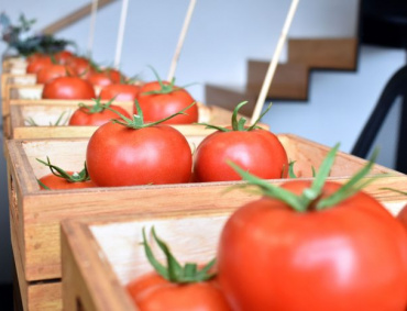 SEÑALAN QUE el problema del tomate no debe afectar la relación entre México y Estados Unidos