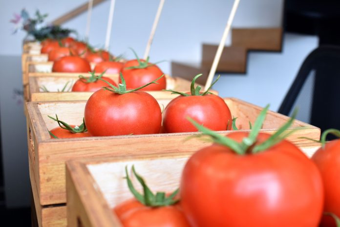 SEÑALAN QUE el problema del tomate no debe afectar la relación entre México y Estados Unidos