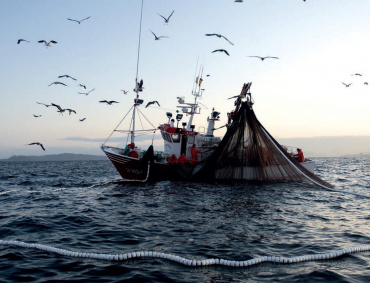 LUN JUEZ de EE.UU. amplió el embargo pesquero contra México y arguye como pretexto mortandad de vaquita marina en la pesca de la totoaba.