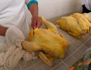 LA ORGANIZACIÓN para la Cooperación y el Desarrollo Económicos (OCDE), pronostica un aumento considerable de carne de pollo en los próximos años, en la nación mexicana.