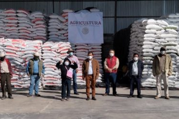 LA SECRETARÍA de Desarrollo Rural (SADER) precisa que ya envío el fertilizante necesario para atender a los agricultores de Guerrero.