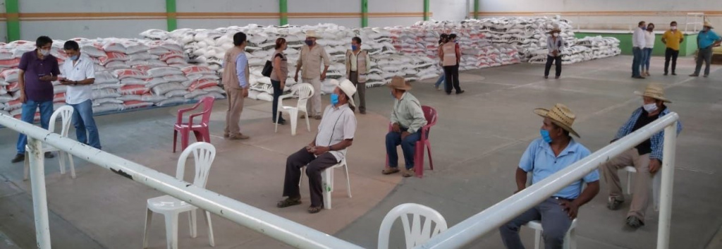 EL PROGRAMA de Fertilizantes para el Bienestar transmite seminarios virtuales junto con especialistas de instituciones de enseñanza e investigación vinculadas a la actividad agrícola.
