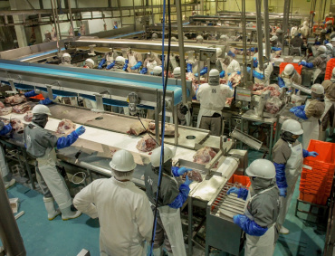SE CONCRETAN protocolos para que México exporte mayor cantidad de productos pecuarios a Asia, Europa y África.
