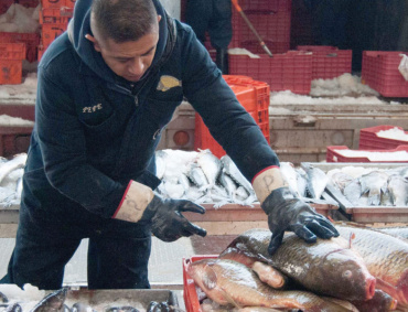 LA CONAPESCA informa que, a pesar de la pandemia, seguirá con la vigilancia de las zonas pesqueras mexicanas, para evitar la pesca ilícita.