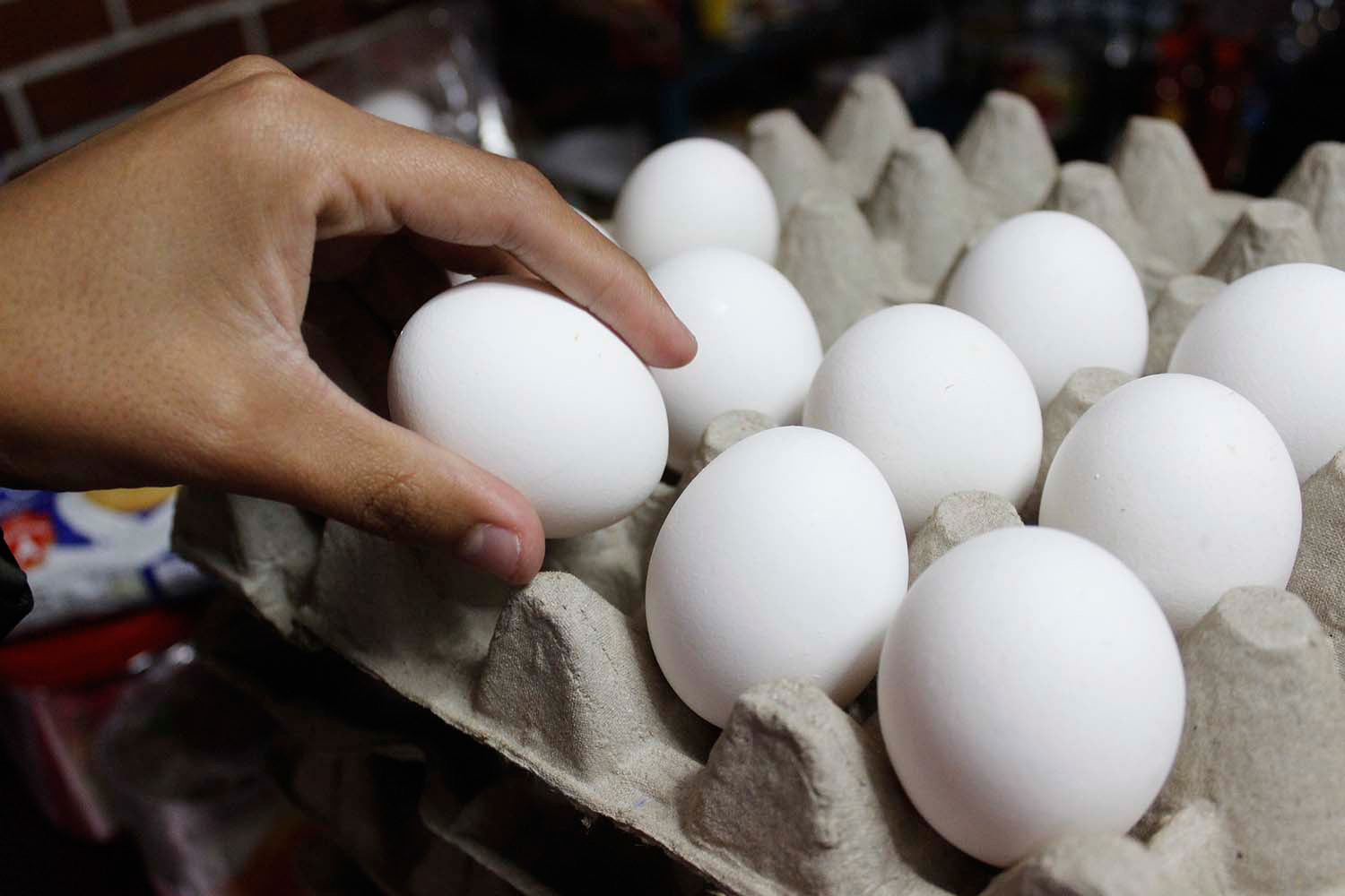 A PESAR del frío que provoca una disminución en la producción avícola, está garantizado el abasto en el país, aseguran avicultores poblanos.