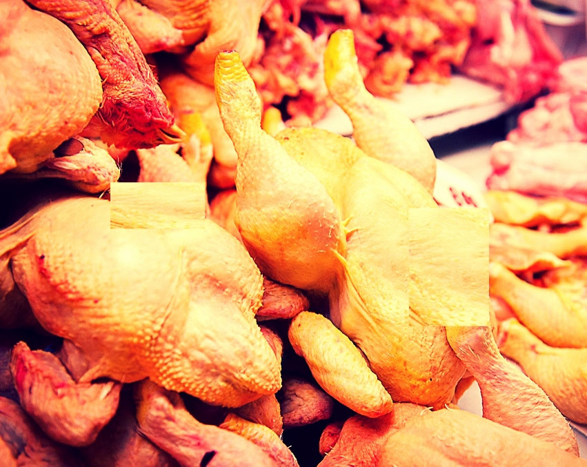 COMO CADA año, Jalisco lidera en 2017 la producción nacional de carne de ave.
