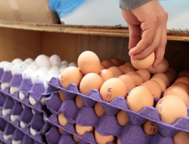 PIDEN AL público consumir el huevo que se produce en el país.