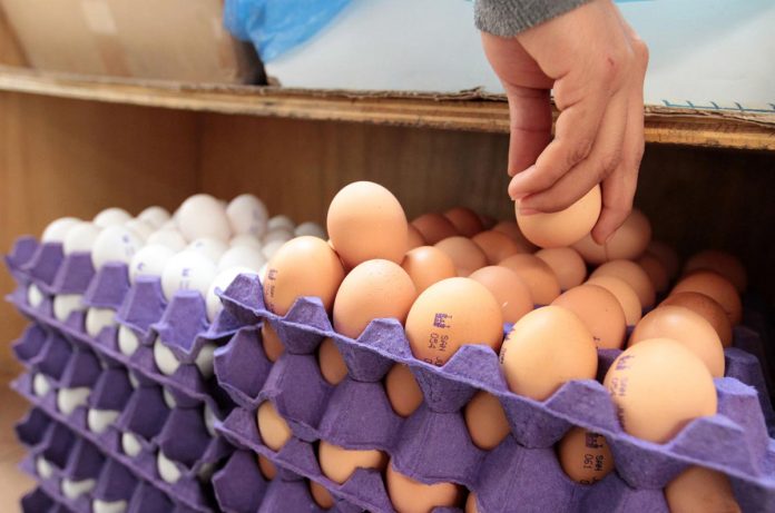 PIDEN AL público consumir el huevo que se produce en el país.