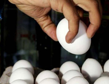 LA PROFECO confía en que pronto baje de precio el kilo de huevo.