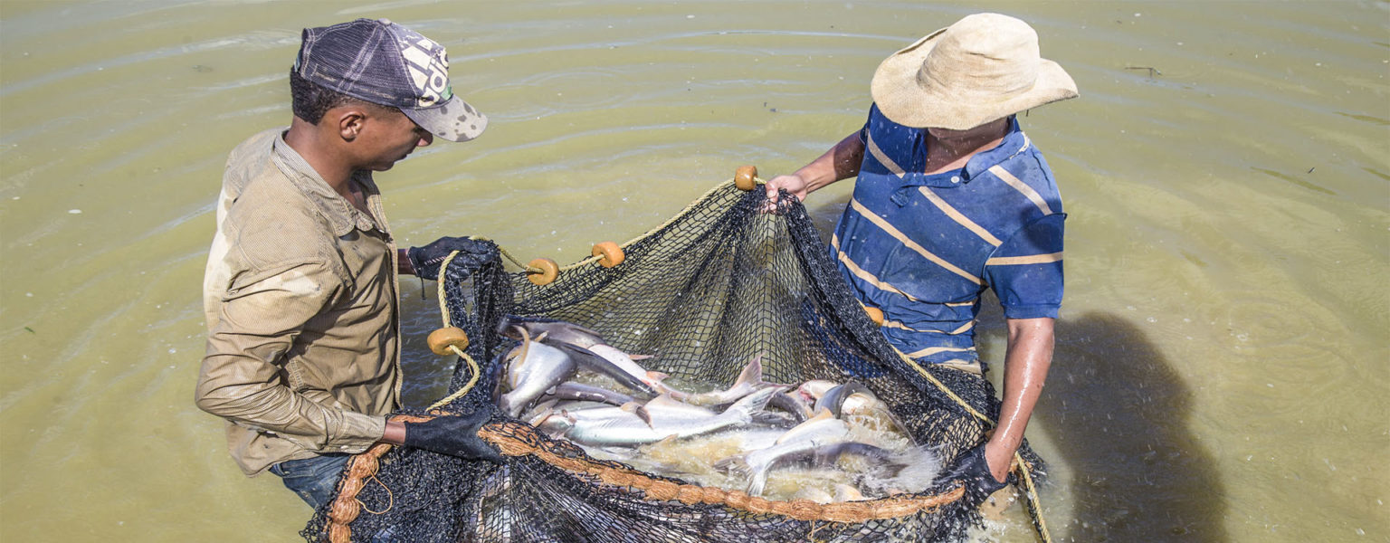 ANUNCIA la CONAPESCA que para el ciclo productivo 2021, aumentará el número de beneficiarios del programa BIENPESCA.