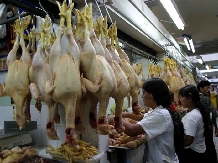 EL POLLO es la proteína animal que más consume el pueblo de Coahuila.