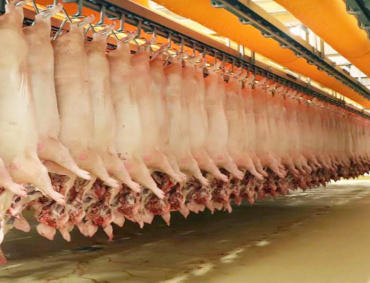 TÉCNICOS MEXICANOS verificarán 40 establecimientos nacionales TIF interesados en exportar productos cárnicos a China.