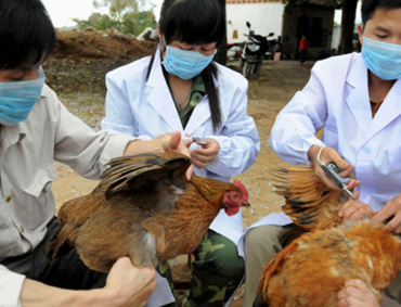 UN NUEVO brote de gripe aviar H5N1 surgió en China en la misma provincia donde brotó el coronavirus, detalle el Ministerio chino de Agricultura y Asuntos Rurales.
