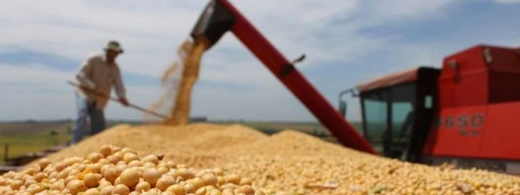 ESTE AÑO se rompió un récord histórico al importarse 11 mil millones de dólares en granos debido a que el gobierno le apuesta más a importar que a impulsar la productividad, afirma el líder agrario Jacko Rodríguez.