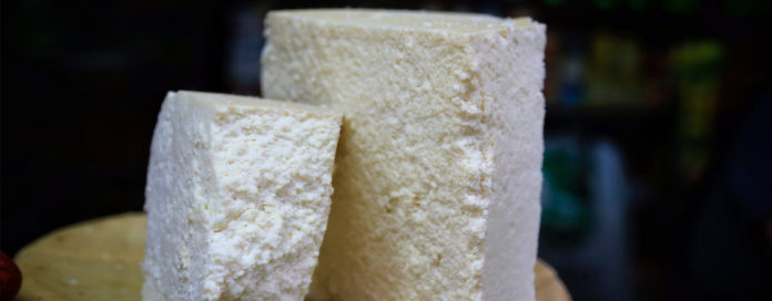 LA CÁMARA de maduración del queso Cotija en el municipio jalisciense de Quitupan, Jalisco, registra importantes avances, informa la SADER-Jalisco