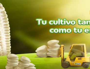 EL FUNGICIDA sistémico Quilt ® es uno de los productos más innovadores de la industria de protección de cultivos, que ayuda a optimizar el rendimiento del maíz.