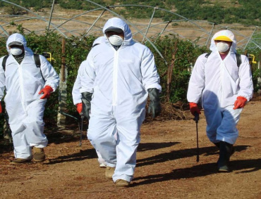 «ES IMPOSIBLE que el idealismo agroecológico de SEMARNAT garantice la producción de alimentos para un país como México, de 127 millones de habitantes», señalan PROCCYT y UMFFAAC.