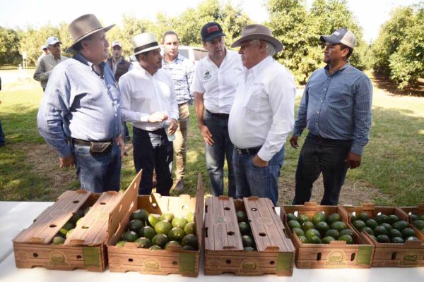 EL SECRETARIO Víctor Villalobos Arámbula recorridos por proyectos agroalimentarios en la región sur de Jalisco, algunos de los cuales serán replicados en el sur-sureste del país.