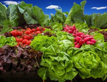 La actualización del Acuerdo Global México-UE ha impactado en el sector agroalimentario nacional, al ampliarse las oportunidades de negocios.