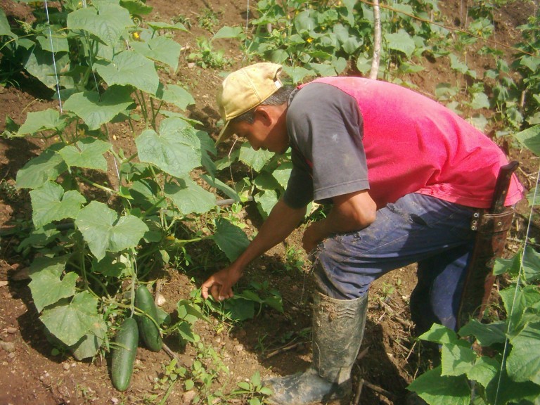 El 2017 será un año muy difícil para el campesinado