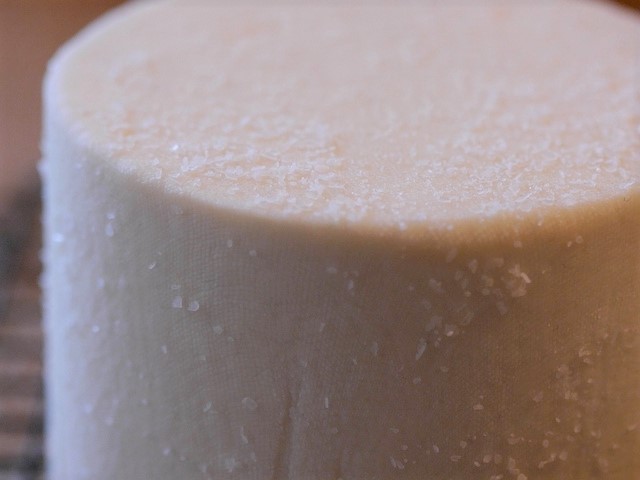 LOS PRODUCTORES mexicanos de leche y sus derivados ya pueden exportar a los Emiratos Árabes Unidos (EAU).