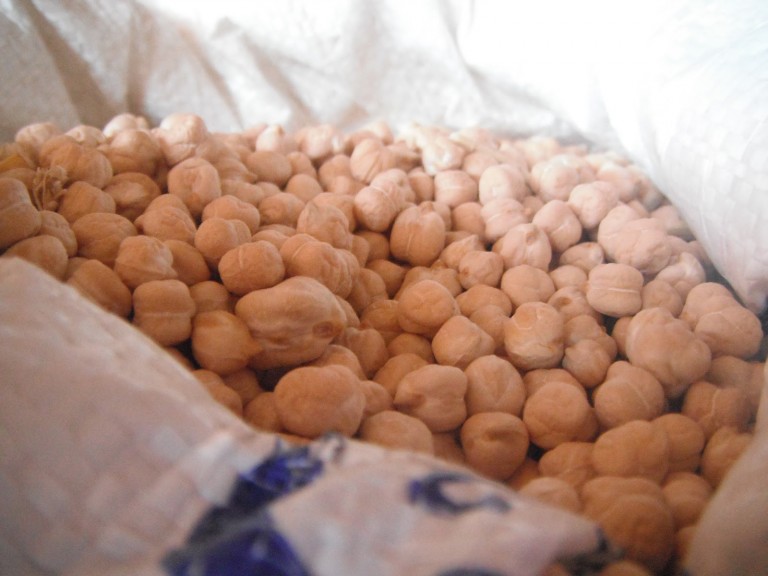 El garbanzo de Sinaloa se cotiza alto