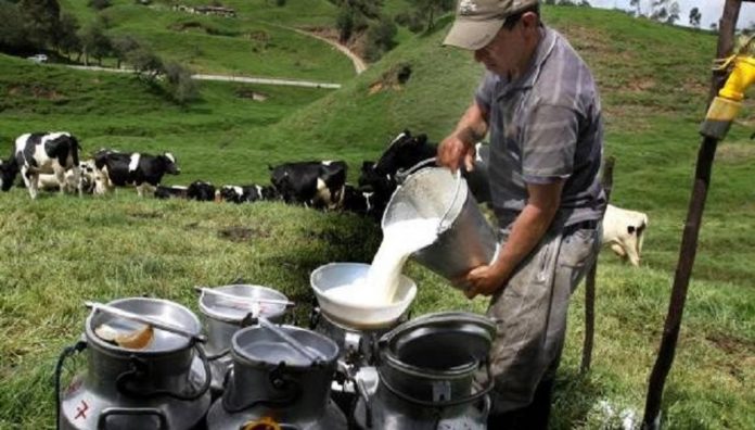 EL PROGRAMA Producción para el Bienestar, avanza de manera considerable en la dispersión de apoyos.