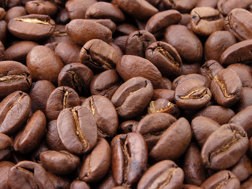 EL CAFÉ de la Sierra Zongolica se vendió a 52 pesos por kilogramo en el extranjero.