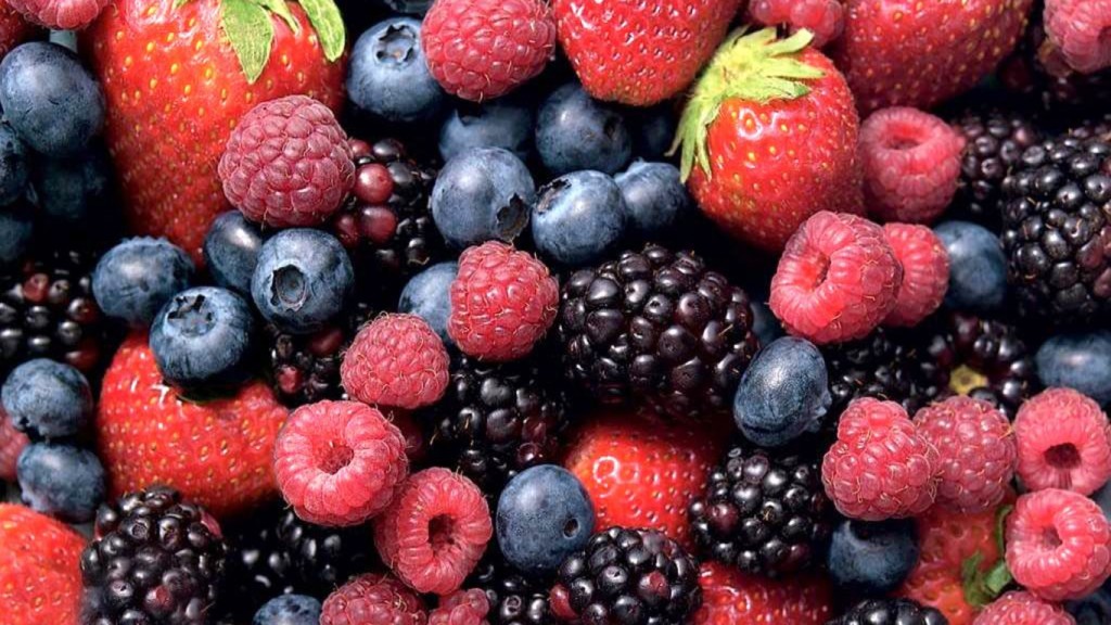 LOS PRINCIPALES destinos a donde se envían las berries son Estados Unidos, naciones de Europa y Medio Oriente.