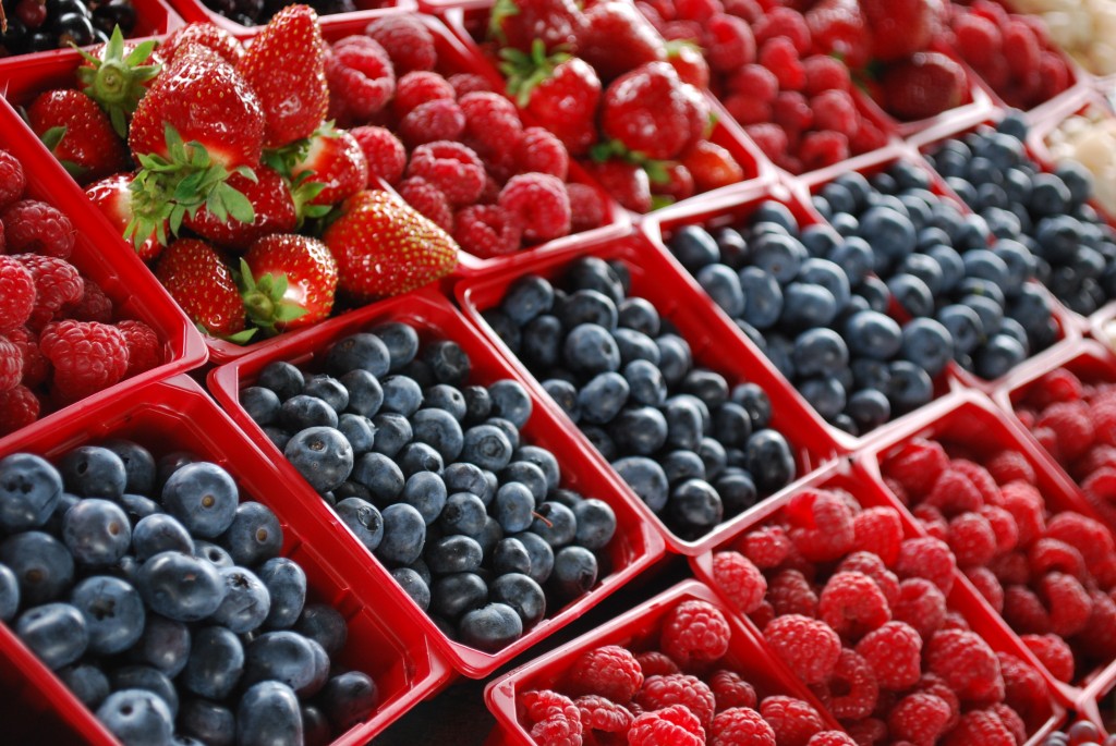 SE ESPERA que la exportación de berries a china se concrete antes de que concluya el año 2014.