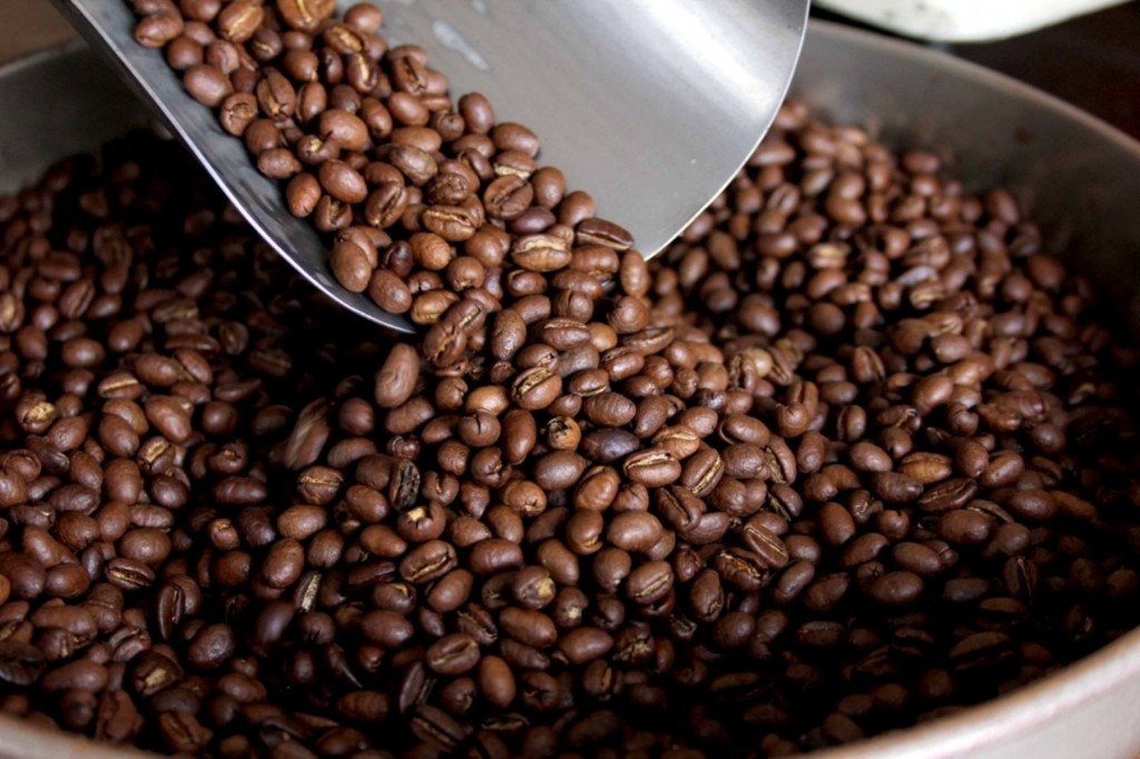 EL CAFÉ orgánico chiapaneco ha tenido un importante auge en el extranjero.