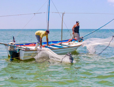 ACTUALMENTE LOS pescadores capturan sólo un escualo cuando antes obtenían hasta 500 kilos por jornada.