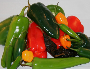 ACTUALMENTE el equipo de investigación estudia los carotenoides en los chiles poblano, pasilla y habanero.