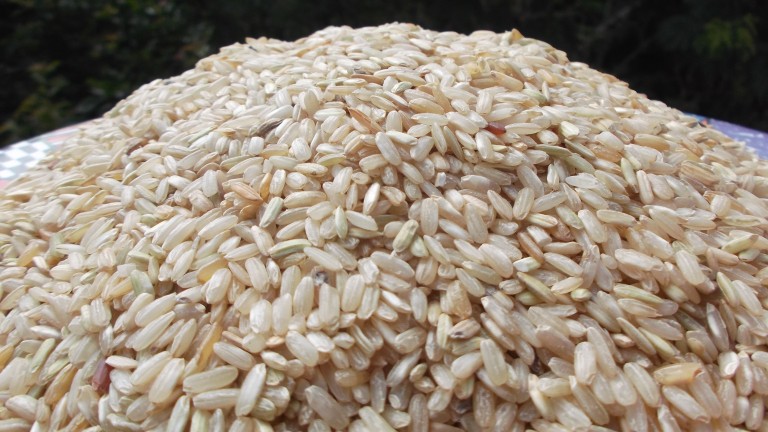 Carne de res y arroz entrarán al país sin pagar arancel