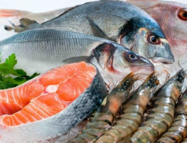 ENTRE LAS especies disponibles están sardina, atún, calamar, pulpo, bagre, camarón, tilapia mexicana, ostión, sierra, róbalo y jaiba, entre otras.