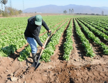 EL ESTADO de Jalisco es uno de los más beneficiados por el «Programa de Concurrencia».