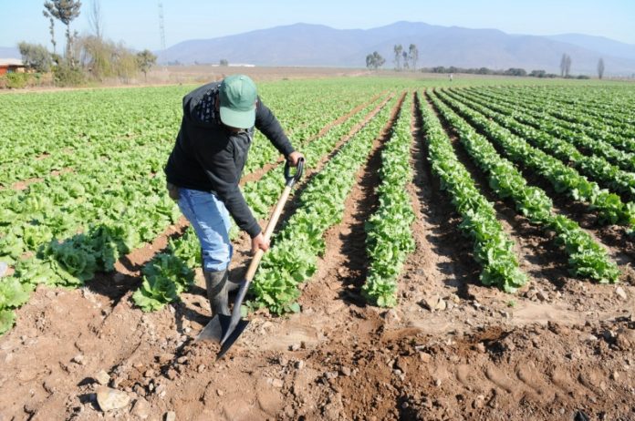 EL ESTADO de Jalisco es uno de los más beneficiados por el «Programa de Concurrencia».