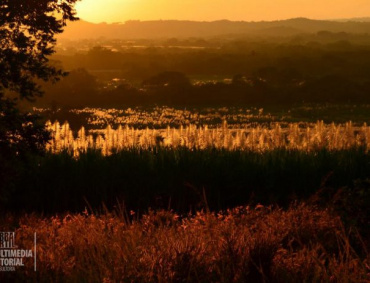 Atardecer en Caña Floreada. Rancho Barro Negro, Tuxpan, Jalisco.