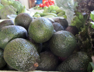 AUNQUE Vietnam no produce aguacate Hass, podría producirlo y enviarlo a EE.UU., ante el conflicto comercial de México con esa nación.