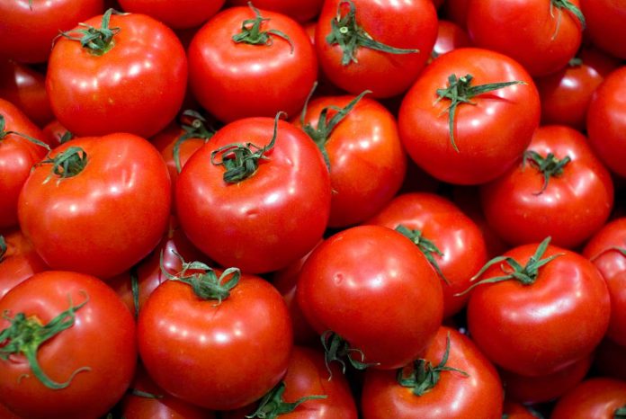 LA DECISIÓN de EE.UU. de no firmar el Acuerdo de Suspensión Dumping del Tomate con México, pone contra las cuerdas a tomateros poblanos.