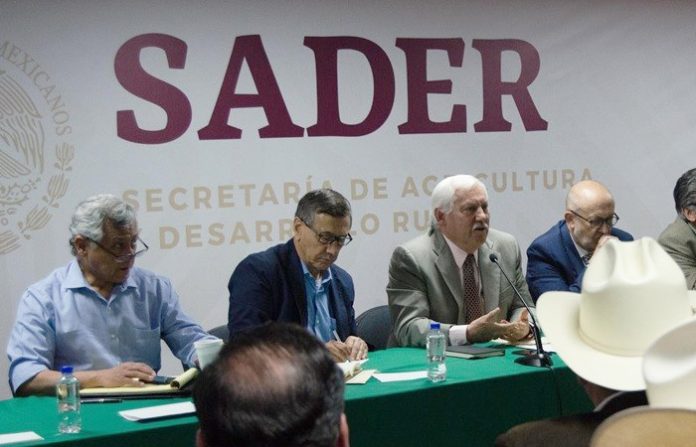 LA SADER y productores sinaloenses revisarán la estructura productiva primaria en la entidad, para impulsar nuevos esquemas de producción y comercio a fin de obtener precios competitivos.