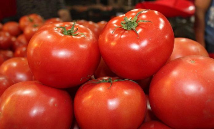Opinión Solidaridad con nuestros productores de tomate