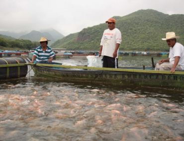 LA COMISIÓN Nacional de Acuacultura y Pesca (CONAPESCA) y el Instituto Nacional de Pesca y Acuacultura (INAPESCA), promueven la actualización de la Ley General de Pesca y Acuacultura Sustentable.
