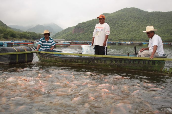 LA COMISIÓN Nacional de Acuacultura y Pesca (CONAPESCA) y el Instituto Nacional de Pesca y Acuacultura (INAPESCA), promueven la actualización de la Ley General de Pesca y Acuacultura Sustentable.