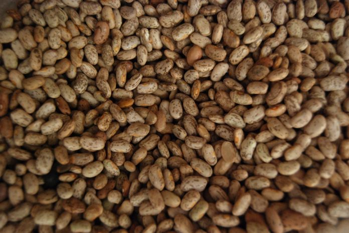 LO QUE producen los agricultores del país no cubre la demanda nacional.