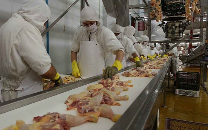 BRASIL, busca consolidarse como superpotencia agrícola, por lo que planea diversificar mercados y aumentar el volumen de venta de cárnicos y granos a países como México.