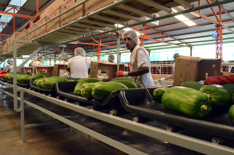 EL INFORME DE LA SAGARPA destaca que México obtuvo un superávit en la balanza comercial agroalimentaria de seis mil 964 millones de dólares, un avance de 34 % en relación al obtenido en 2015.