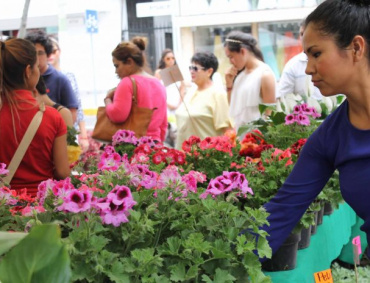 LA FERIA se realizará del 31 de marzo al 2 de abril en Paseo Chapultepec en el trayecto de La Paz a Avenida México.