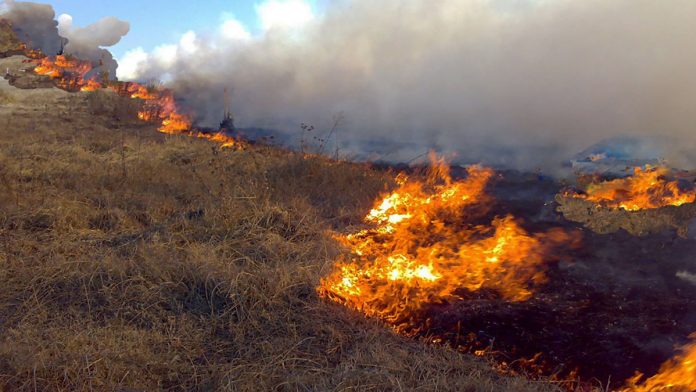LA QUEMA de residuos agrícolas contribuye a empeorar los efectos del cambio climático; en cambio, su aprovechamiento en el suelo agrícola, favorece su conservación y regeneración.