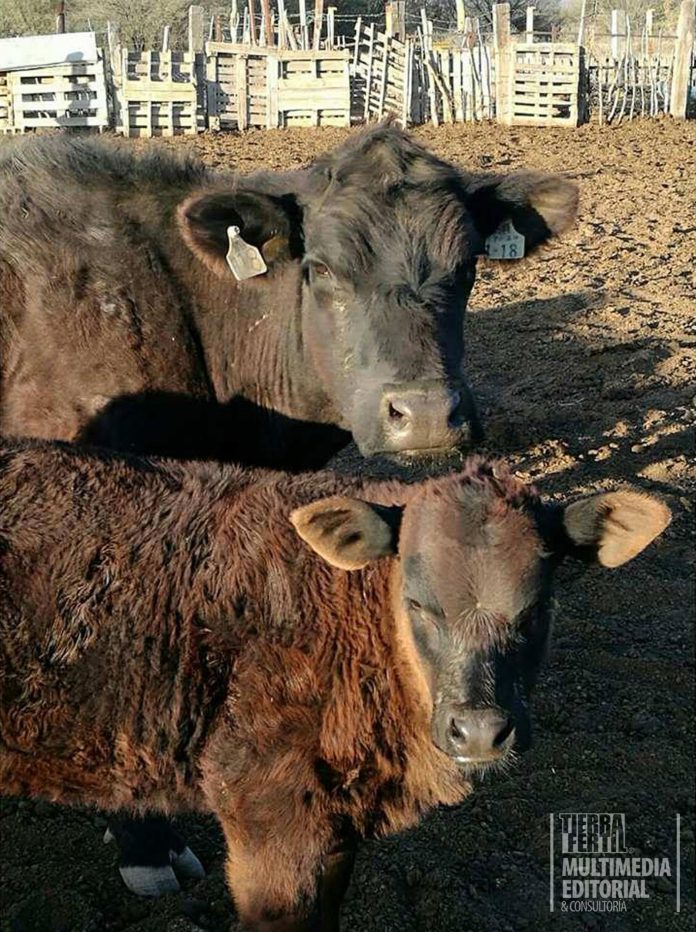 Lourdes Yoalli Quiroz TierraFértil®